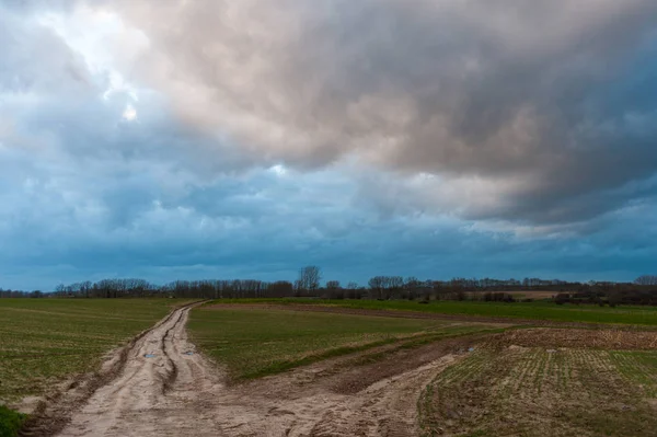 Country Road in the east flemish country side — Stock Photo, Image