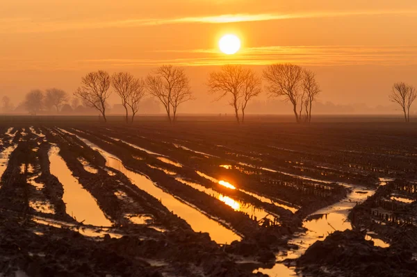 Vijftien minuten zonlicht — Stockfoto