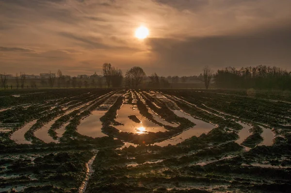 Sunrise over a flooded land — Stock Photo, Image