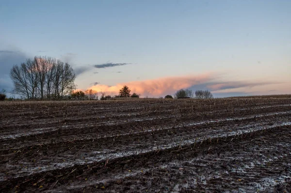 East flemish landscape at dusk — Stock Photo, Image