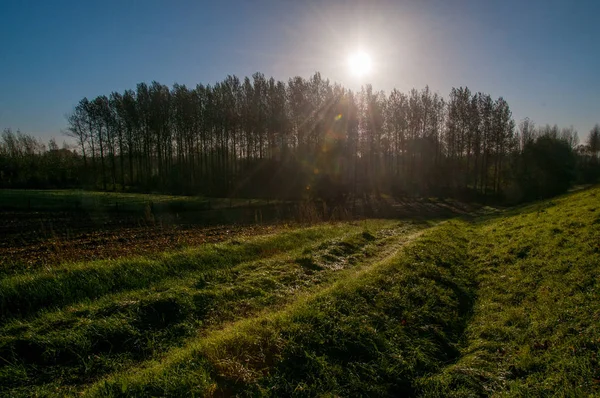 Early morning landscape in flanders — Stock Photo, Image