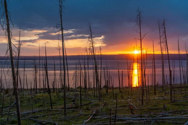 Lake Yellowstone at Sunset — Stock Photo, Image