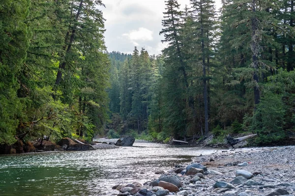 Der cowlitz river in washington — Stockfoto