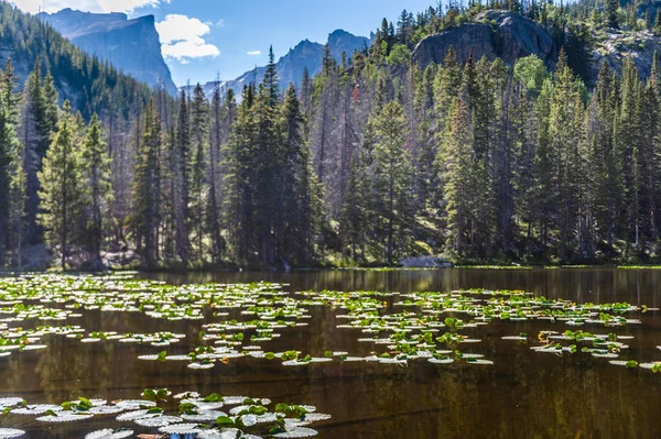 Bir yaz öğleden sonra Nymph gölü Colorado — Stok fotoğraf