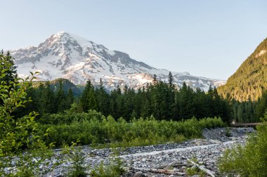 Longmire'dan görüldüğü gibi, Sunset çevresindeki Rainier Dağı.