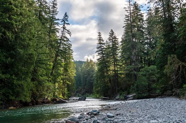 Rio Cowlitz em Washington — Fotografia de Stock