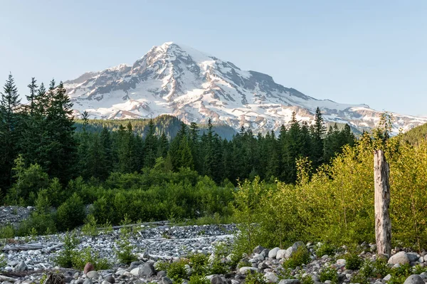 Mount Rainier bei Sonnenuntergang, von Longmire aus gesehen. — Stockfoto