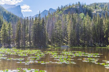 Bir yaz öğleden sonra Nymph gölü Colorado