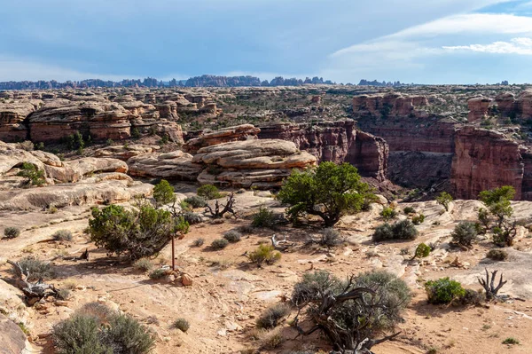 El área de Agujas de Canyonlands — Foto de Stock