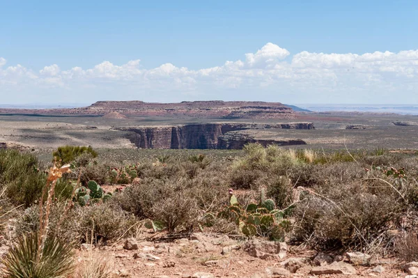 El pequeño río Colorado — Foto de Stock