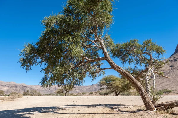 沙漠路沿线的休息区 — 图库照片