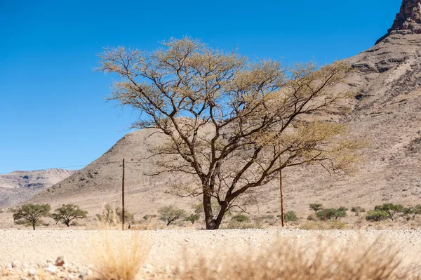 沙漠路沿线的休息区 — 图库照片
