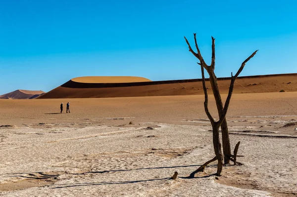 Árboles muertos en Namibias Deadvlei . — Foto de Stock