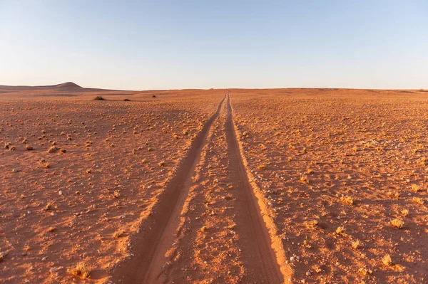 Spur im Sand. — Stockfoto