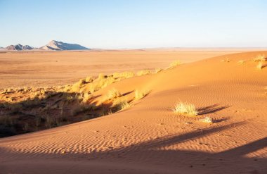 Çölde gün doğumu