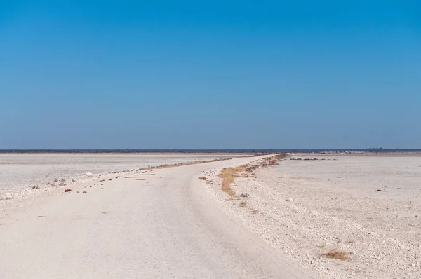 The Etosha Salt Pan — Stock Photo, Image