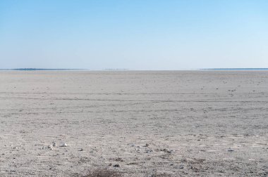 Etosha Tuz Tava
