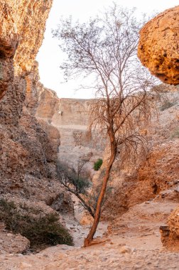 Landscape shot from within sesriem canyon, Namibia, around sunset.