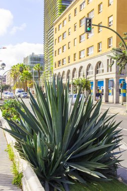 Las Palmas de Gran Canaria, İspanya, 10 Ocak 2018 üzerinde. Modern binalar mimari kompleks sokağın adalar adalar için tipik yapmak.