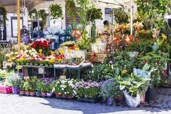 Rome Itália Março 2017 Várias Flores Estão Venda Mercado Praça — Fotografia de Stock