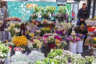 11 Mart 2017 tarihinde, Roma, İtalya. Çeşitli çiçekler Campo Di Fiori Meydanı'nda piyasada satılmaktadır
