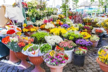 11 Mart 2017 tarihinde, Roma, İtalya. Çeşitli çiçekler Campo Di Fiori Meydanı'nda piyasada satılmaktadır