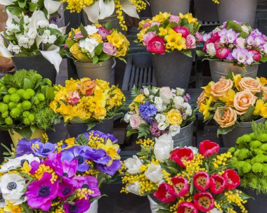 11 Mart 2017 tarihinde, Roma, İtalya. Çeşitli çiçekler Campo Di Fiori Meydanı'nda piyasada satılmaktadır