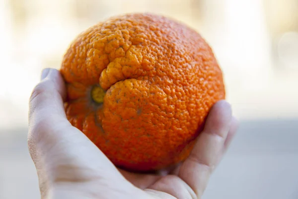 Fresh tasty orange in a hand