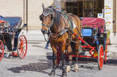11 Mart 2017 tarihinde, Roma, İtalya. Şehrin tarihi bir parçası turist at araç bekliyor. 