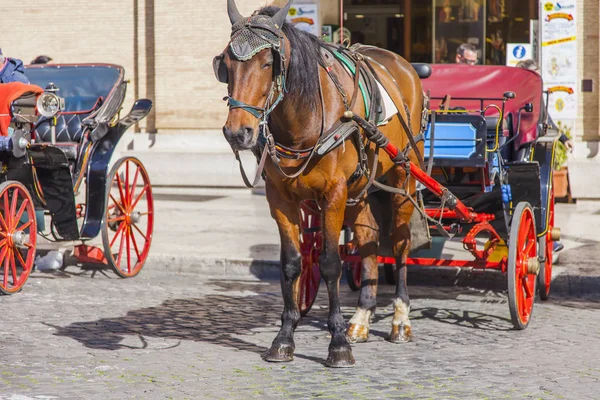 11 Mart 2017 tarihinde, Roma, İtalya. Şehrin tarihi bir parçası turist at araç bekliyor. 