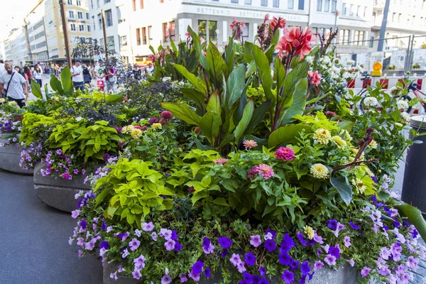 德国慕尼黑 于2018年8月16日 装饰城市街道的美丽花朵 — 图库照片