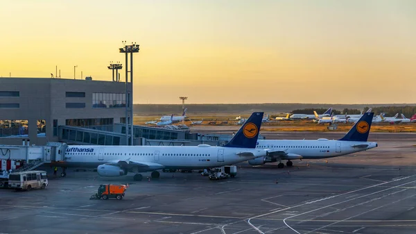 Moscú Rusia Agosto 2018 Avión Somete Servicio Prevuelo Aeropuerto Internacional — Foto de Stock