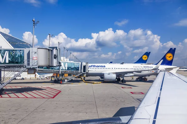 Münih, Almanya, Tarih 15 Ağustos 2018. Ön Kontrol Servisi uluslararası havaalanında uçak geçer