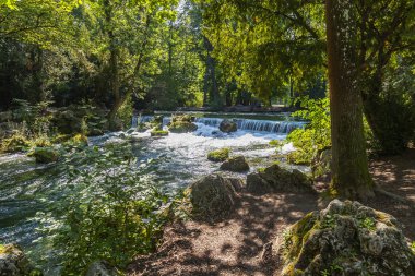 Münih, Almanya, Tarih 22 Ağustos 2018. İngiliz Bahçesi - şehir parklarından biridir. Ağaçları arasında güzel bir yapay akışı