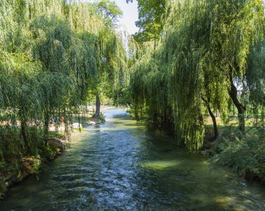 Münih, Almanya, Tarih 22 Ağustos 2018. İngiliz Bahçesi - şehir parklarından biridir. Ağaçları arasında güzel bir yapay akışı