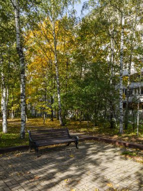Pushkino, Rusya, 9 Ekim 2018. Şehir manzarası. Pitoresk ağaçları Bulvarı'ndaki sonbaharda çok renkli yeşillik ile