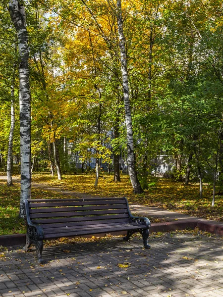 Pushkino Ryssland Oktober 2018 Stadslandskapet Pittoreska Träd Med Flerfärgade Blad — Stockfoto