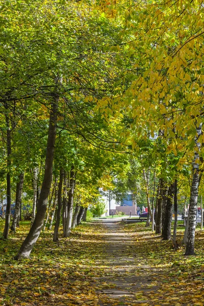 Pushkino Rusia Octubre 2018 Paisaje Urbano Árboles Pintorescos Con Follaje —  Fotos de Stock