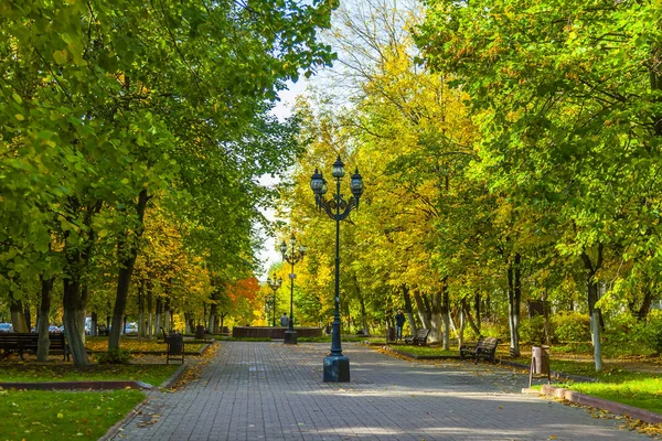 プーシキノ ロシア 2018 都市景観 大通りの秋に多着色された群葉の美しい木 — ストック写真