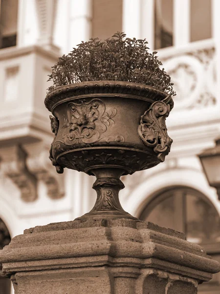 Las Palmas Gran Canaria Spain January 2018 Ancient Stone Flowerpot — Stock Photo, Image