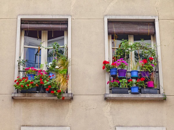 Paris Fransa Üzerinde Ekim 2018 Tarihi Bina Cephe Tipik Mimari — Stok fotoğraf