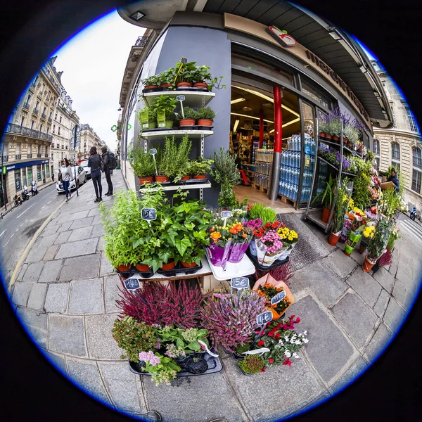 Paris Fransa Üzerinde Ekim 2018 Tipik Kentsel Görünümü Çeşitli Çiçekler — Stok fotoğraf