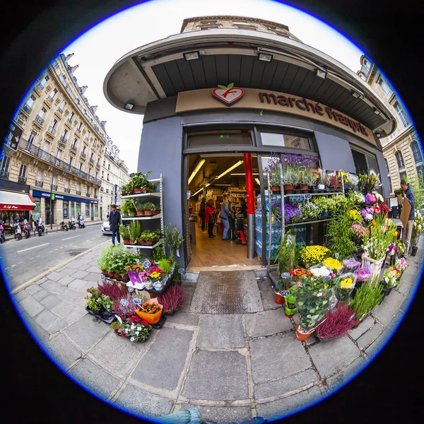 Paříž Francie Října 2018 Typický Městský Pohled Různé Květiny Rostliny — Stock fotografie