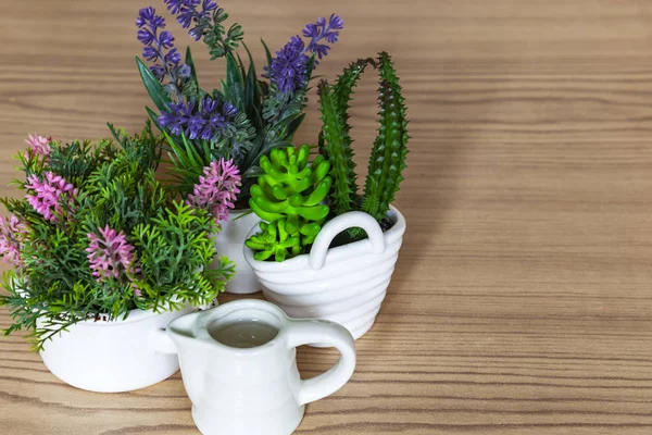 Varias Plantas Interior Decorativas Regadera Para Riego Flores —  Fotos de Stock