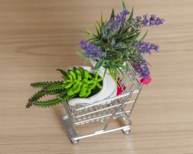 Çeşitli dekoratif houseplants mağaza arabası