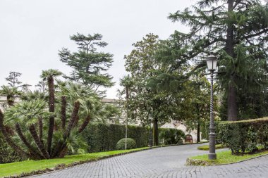 Roma, İtalya, 7 Mart 2017. pitoresk caddenin Vatikan bahçeleri