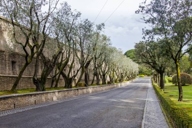 Roma, İtalya, 7 Mart 2017. pitoresk caddenin Vatikan bahçeleri