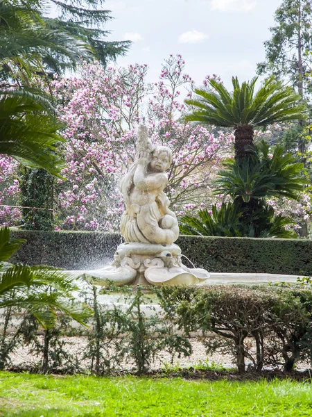 Řím Itálie Března 2017 Starou Kašnu Území Vatikánské Zahrady — Stock fotografie