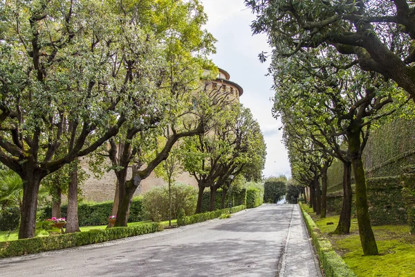 ローマ イタリア 2017 ヴァチカン庭園の美しい通り — ストック写真