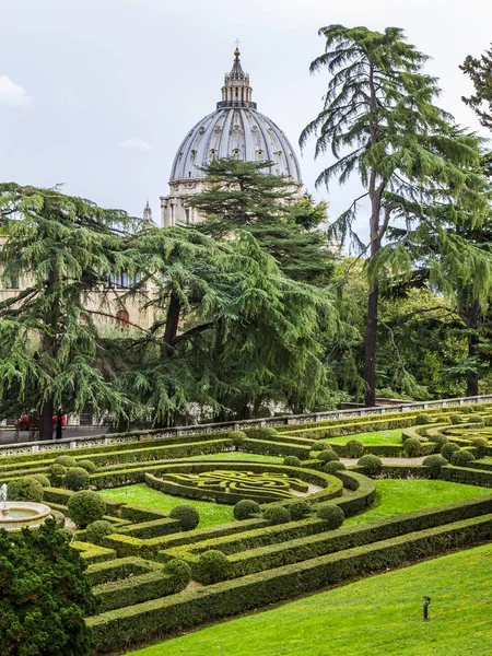 Roma Itália Março 2017 Pitoresco Canteiro Flores Nos Jardins Vaticano — Fotografia de Stock